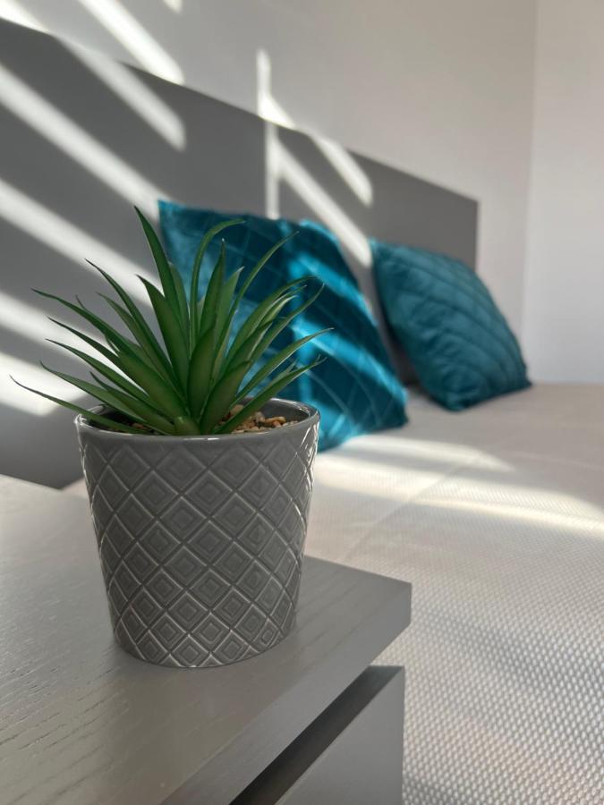 Sunny Luxury Home G. Enescu Suceava Bagian luar foto