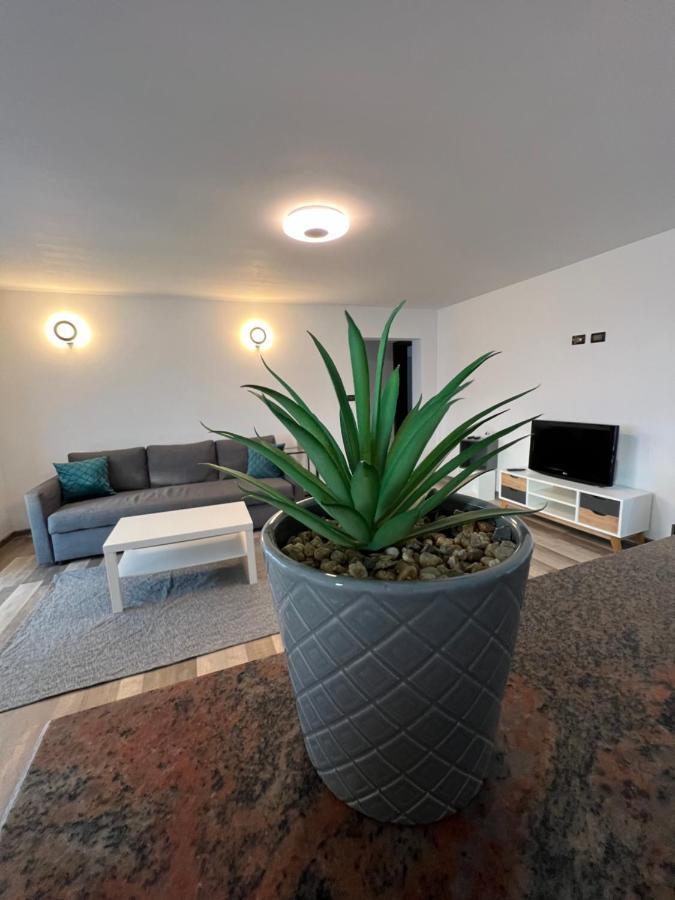 Sunny Luxury Home G. Enescu Suceava Bagian luar foto